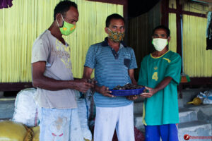 Desa Lakulo Siap Pasok Bibit Jahe Merah Ke Sido Muncul