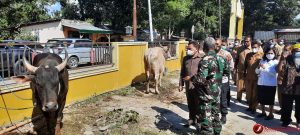 Jelang Idul Adha, Bupati Malaka Minta Perketat Rasa Toleransi