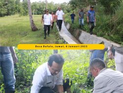 Pemkab Belu Lakukan Penanaman Anakan Pohon Di Wefulan