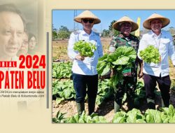 Danrem Wira Sakti Lakukan Panen Perdana Kebun Contoh di Belu