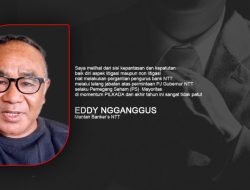 Landasan Litigasi Dan Profesionalitas dari Lelang Jabatan Pengurus Bank NTT