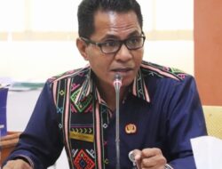 Budaya Tebas Bakar di NTT, Warisan Sejarah yang Menggerogoti Gizi dan Berkontribusi terhadap Tingginya Angka Stunting