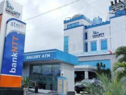 Laba Bank Catat Laba 81 Miliar Per Juni 2026